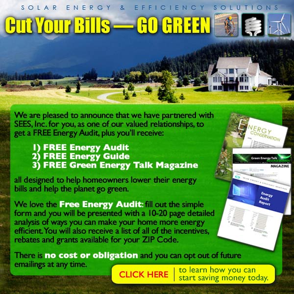 FREE Energy Audit