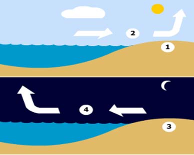 Wind Night & Day Wind Night & Day